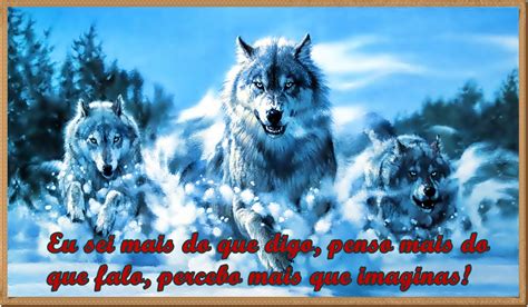 wolf beta,lobos alfa e beta